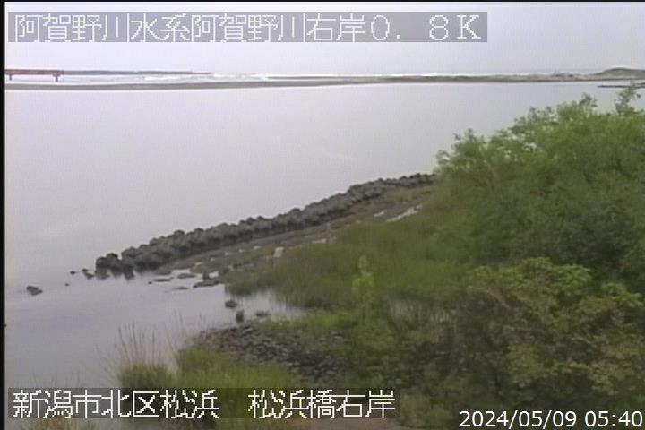 新潟県の海ライブカメラ｢８阿賀野川河口右岸②※｣のライブ画像