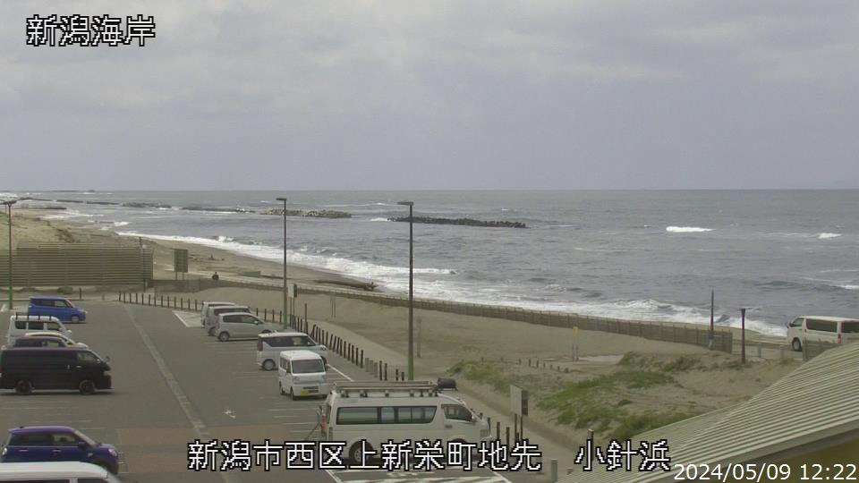 新潟県の海ライブカメラ｢11小針(ﾔﾏﾊ前)｣のライブ画像