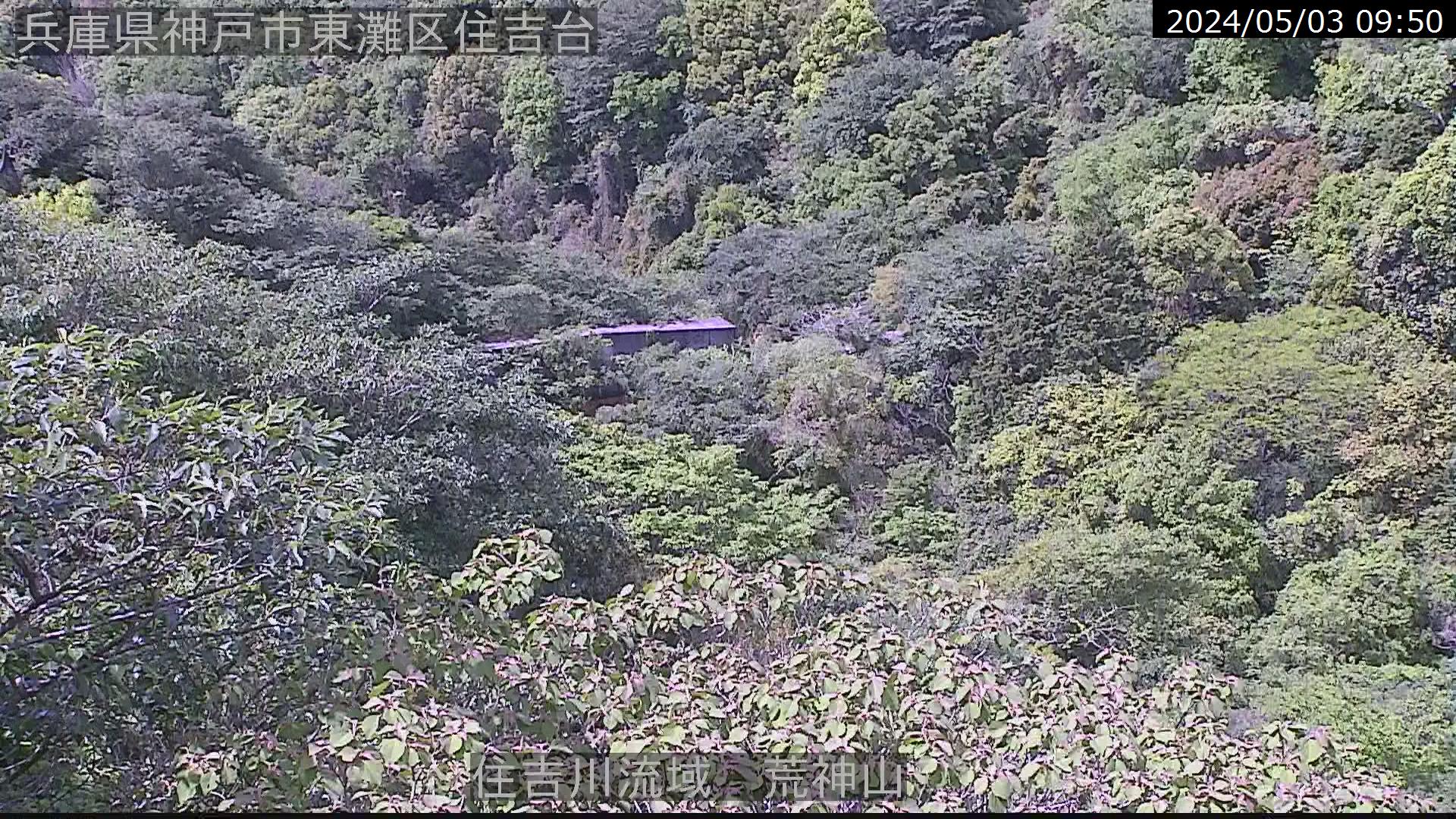 兵庫県の山ライブカメラ｢六甲山 荒神山｣のライブ画像