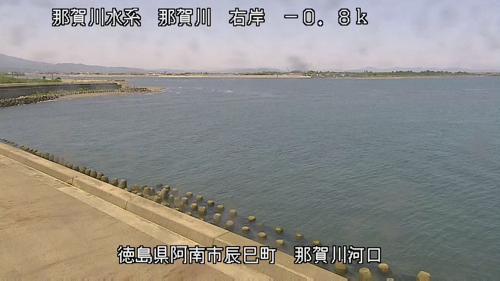 徳島県の海ライブカメラ｢６辰巳(那賀川河口) ｣のライブ画像